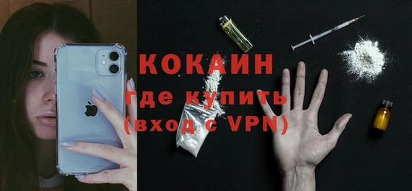 прущие грибы Абинск