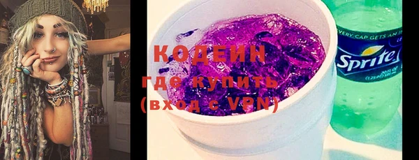 прущие грибы Абинск