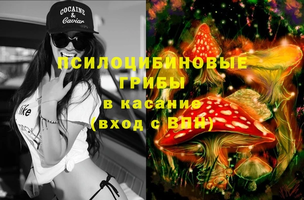 mix Абаза