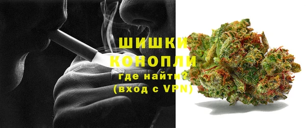 прущие грибы Абинск